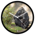 Gorillák falióra